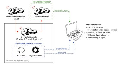 基于计算机视觉的食品干燥智能监控系统在胡萝卜片研究中的应用软件服务